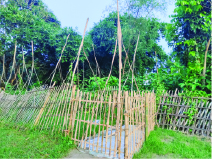 Image of মো: মাসুদ রানা মুকুল 